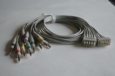 China. GE 10 cables de conducción de ECG de plomo,2.5m proveedor