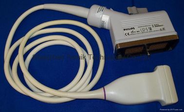China. L12-5 50 mm sonda de ultrasonido de matriz lineal vascular proveedor